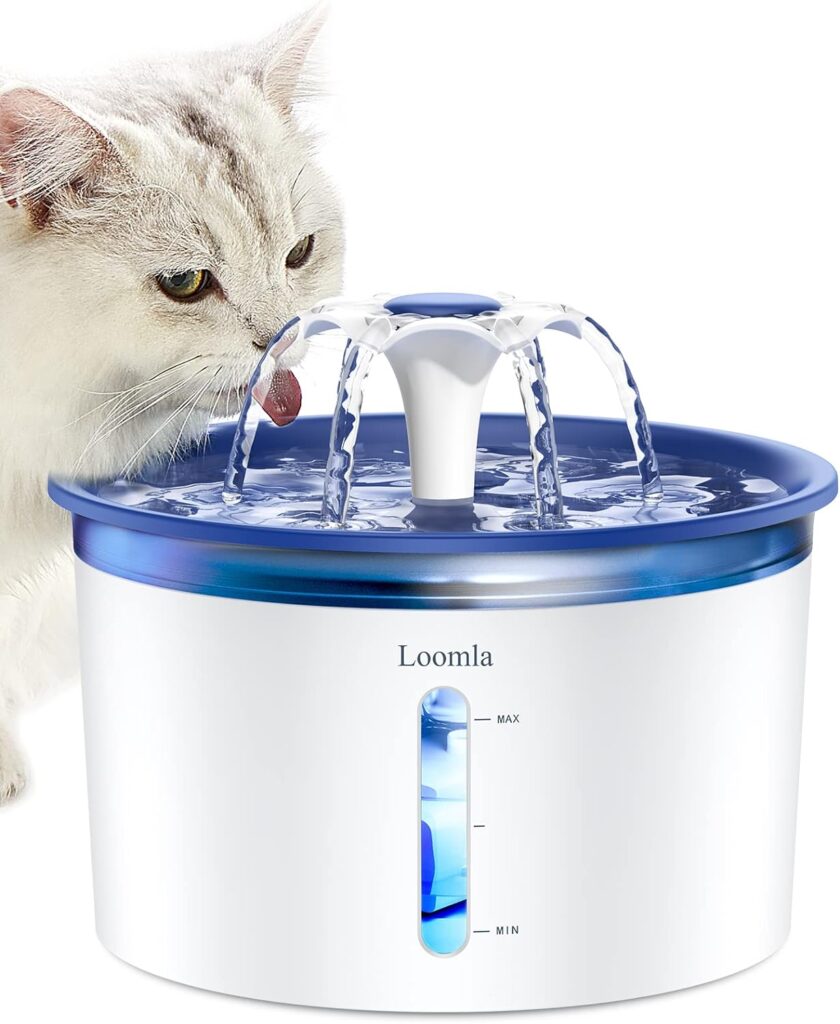 Water Fountains for Cats!